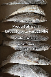 bar sosso