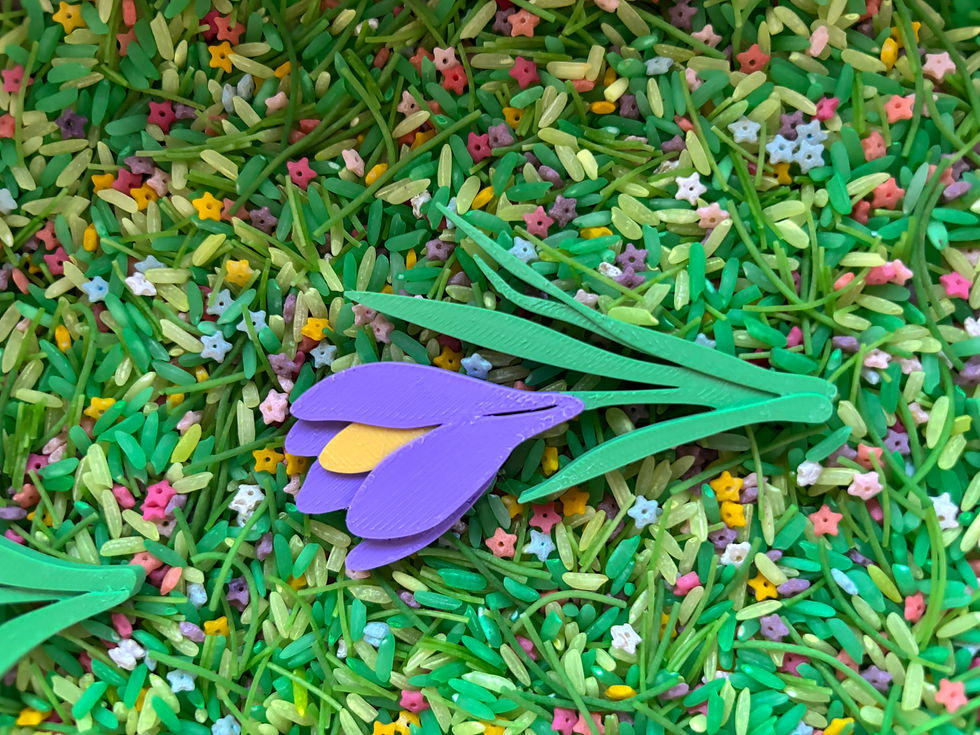 Miniatură: Flori de primăvară