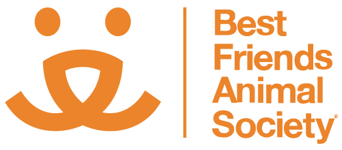 bfas_logo_footer.webp