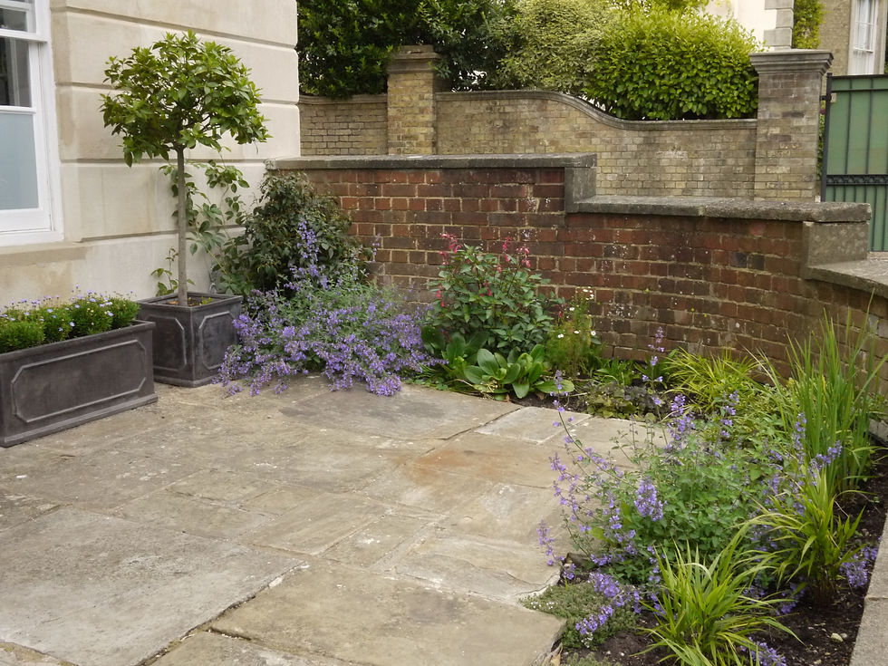 Front Garden - Planted