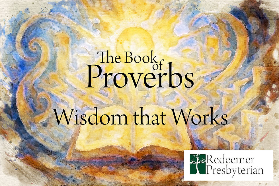 What Wisdom Creates