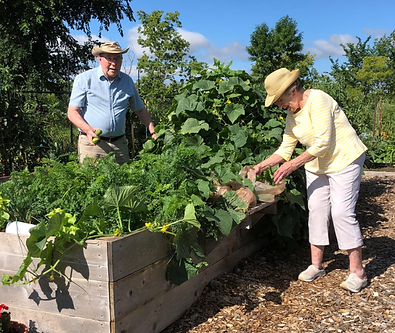 WEBSITE boxed image 600 x 600 Garden-2.png