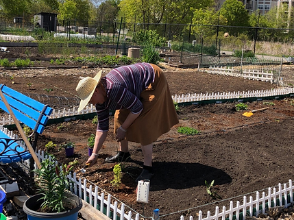 WEBSITE boxed image 600 x 600 Garden-1.png