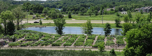 Garden long shot.jpg