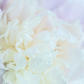 Friendship Lost, Compassion Gained