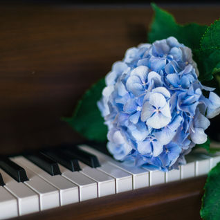 Harmonizing Faith: Tunes and Truths