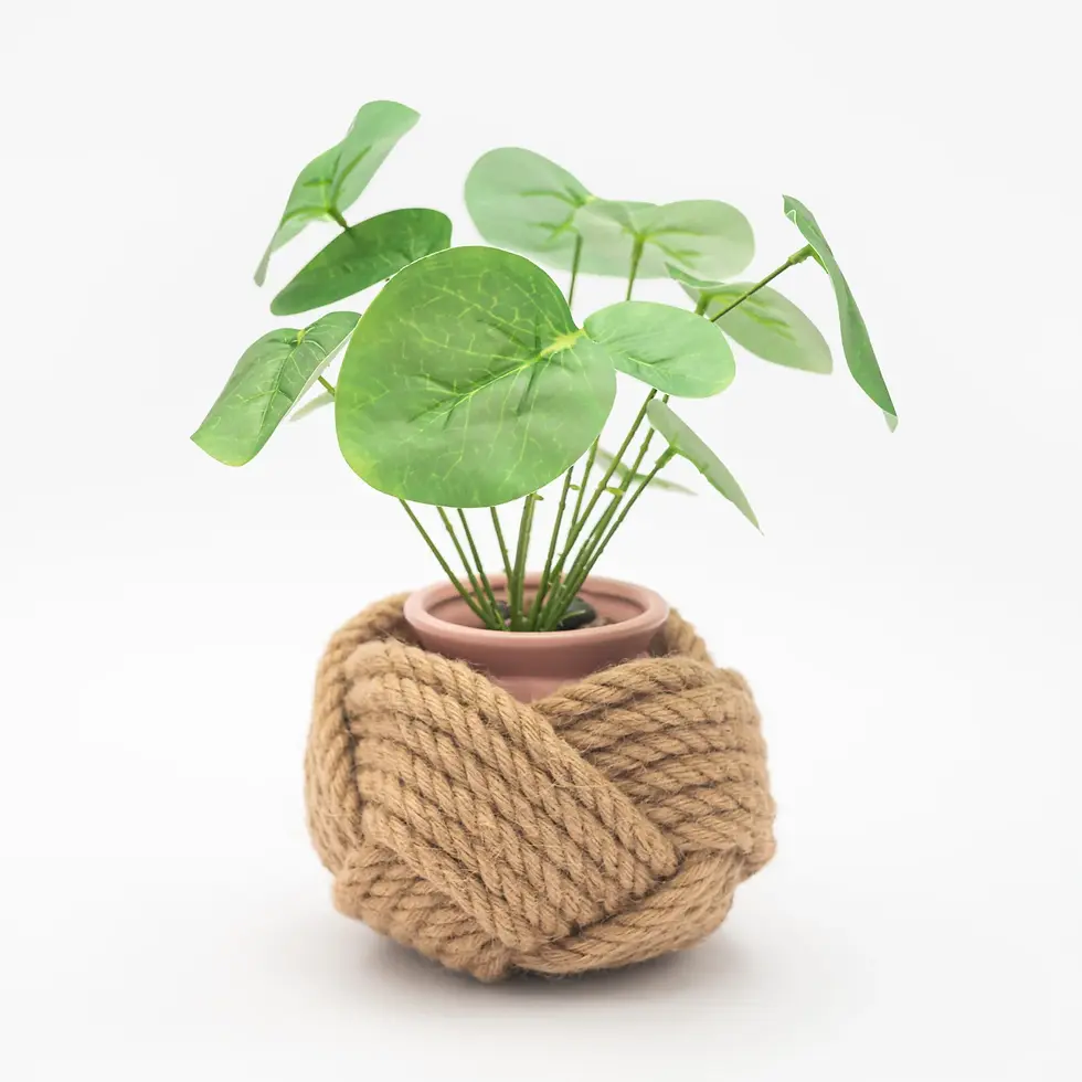 *sold out* - Mothers Day rope planter with plant