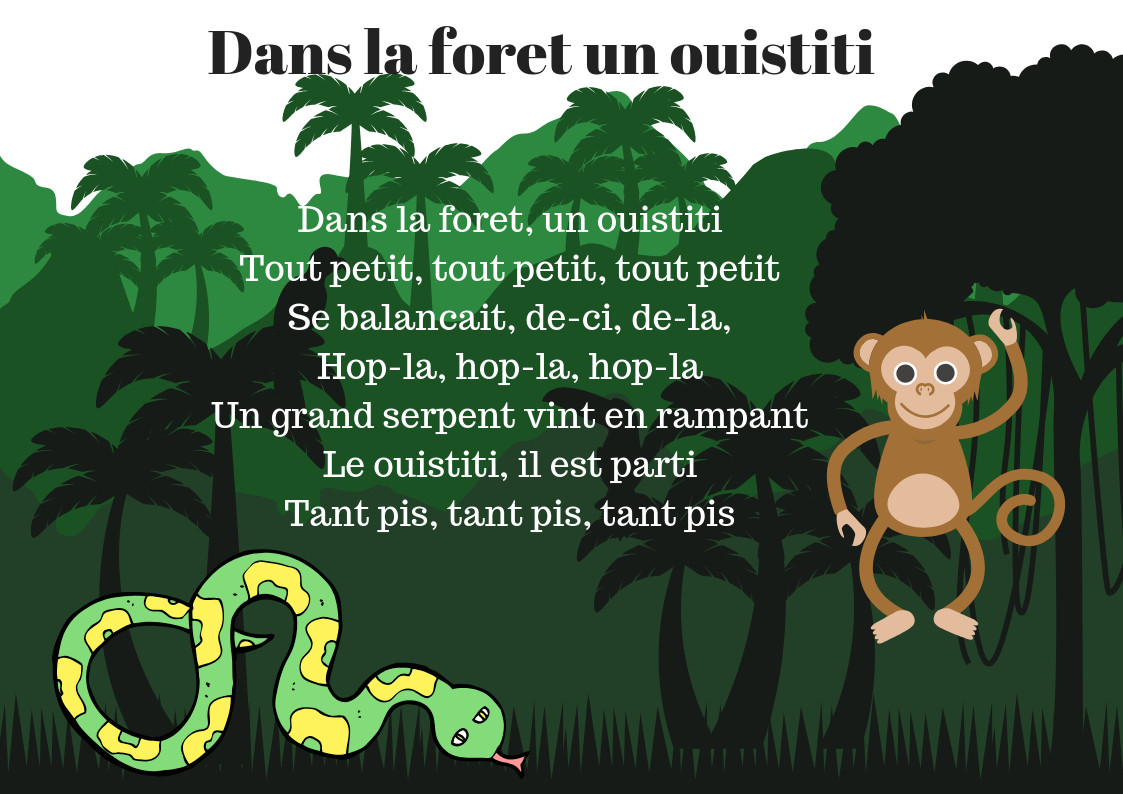 dans la foret png dans la foret png