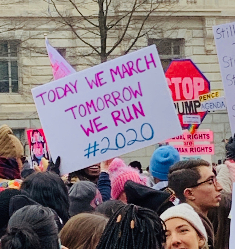 2019 Women's March in Washington DC