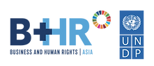 RBHR2025_co-organizer logo_UNDP.png