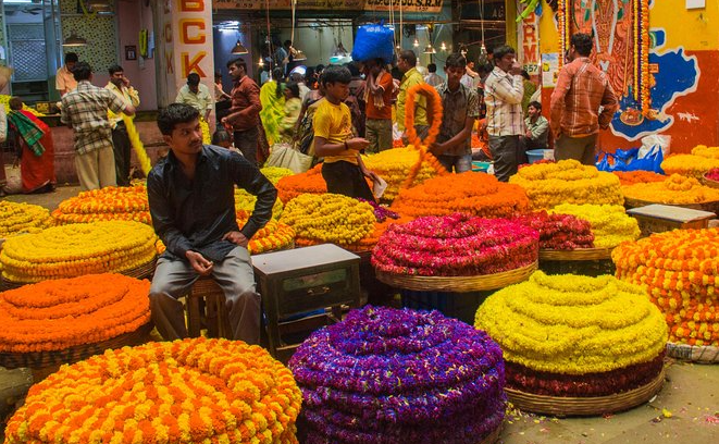 Visite Marché aux fleurs