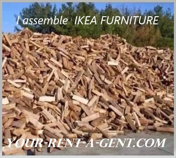 IKEA furniture ad_edited.jpg