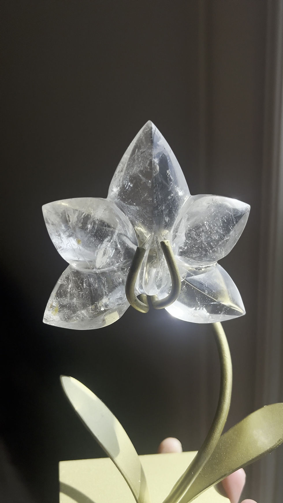 Thumbnail: Clear Quartz Orchid