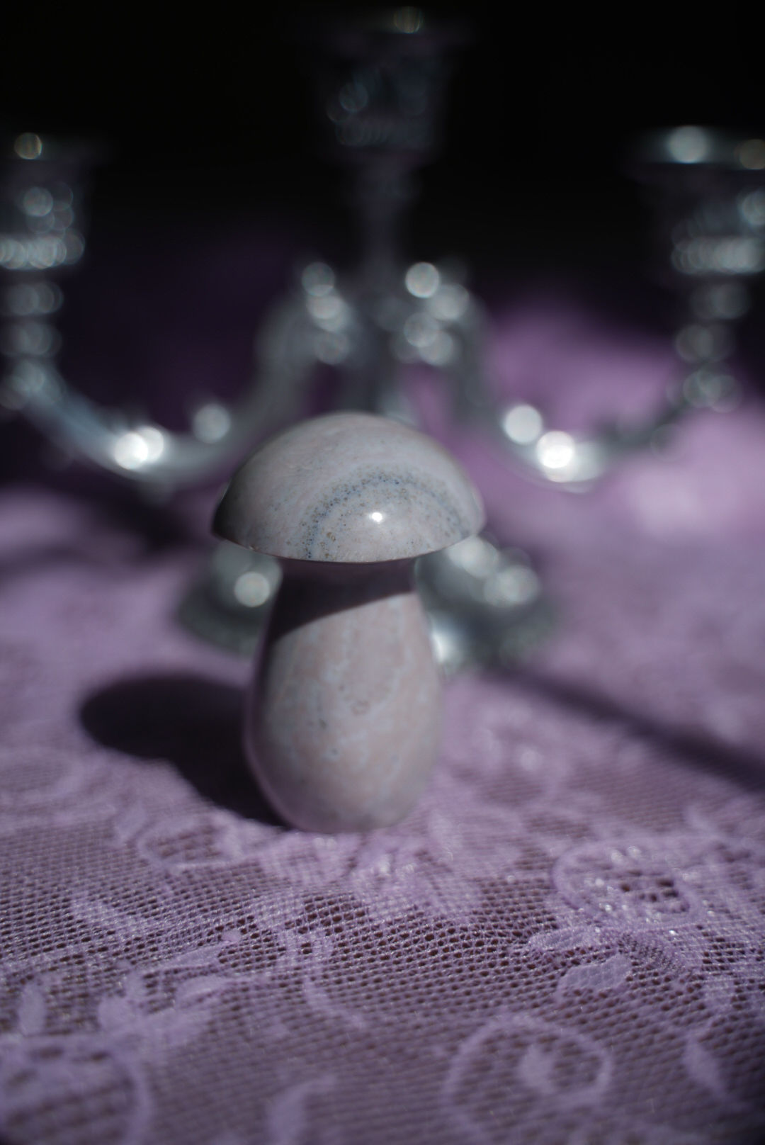 Sea Jasper Mushroom