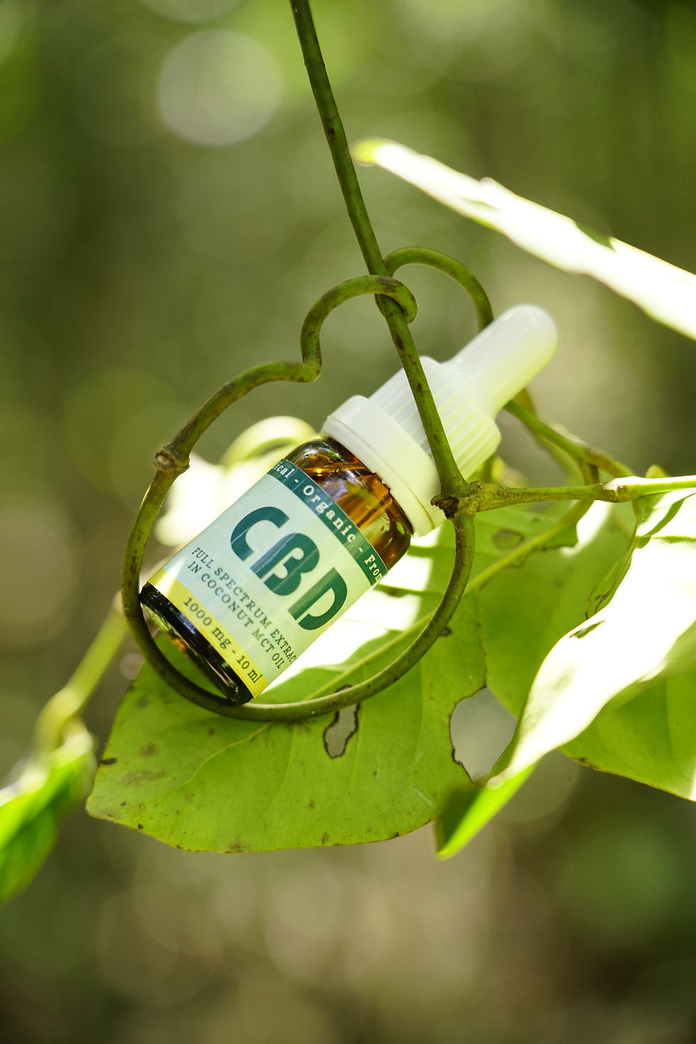 CBD Oil