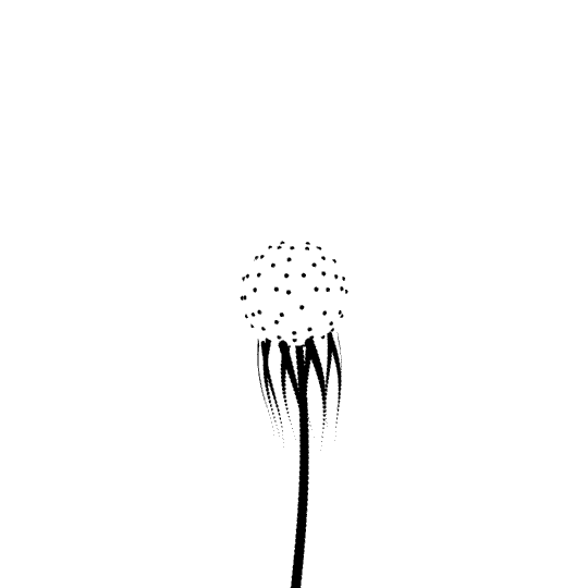 tumblr_pi8w5wKqgN1ws2z91_540.gif