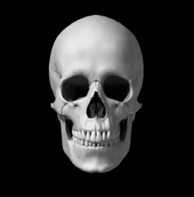 giphy.gif