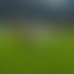 Achtung Zwergerl - Alarm