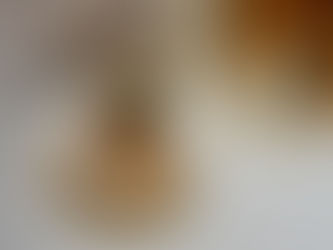 Irresistible Cookies and Brownies: Sweet Indulgences at That Foreign Chick's Bakery