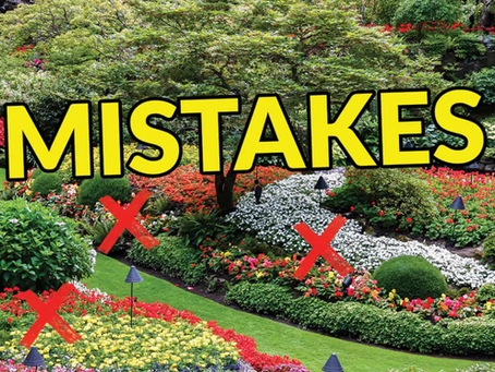 Top Landscaping Design Mistakes and How to Avoid Them