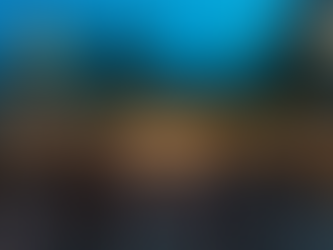 Landscaping Trends to Watch in 2025: What's Hot in Hardscaping and Design