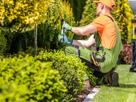 The Long-Term Value of Professional Landscaping Services in Augusta County