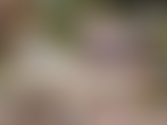 Hardscaping for Entertaining: Creating Outdoor Spaces for Family and Friends