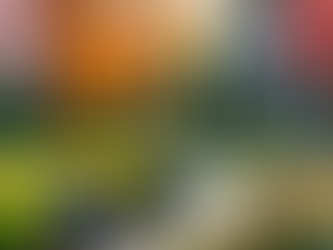 Seasonal Landscaping Services: How to Keep Your Yard Looking Its Best All Year