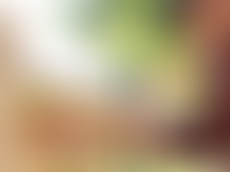 How Professional Fence Installers in Stuarts Draft Ensure Long-Lasting Results