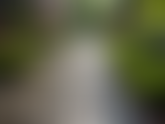 Sustainable Landscaping: Eco-Friendly Choices for Staunton Homeowners