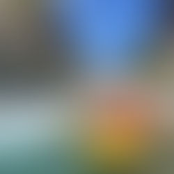 Les Meilleures Activités d'Eau Vive au Pays des Écrins : entre Découverte et Aventure