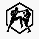 F8F8F8.png