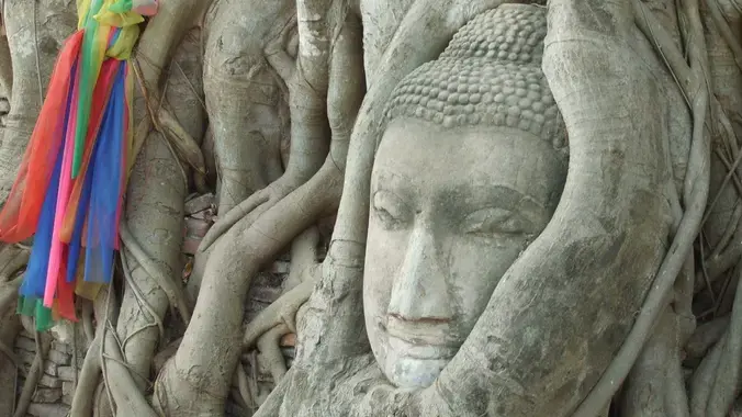 Meditation and Discussion