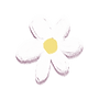 flor2.png