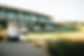 Bridal-Party-Golf-Carts-at-Clubhouse.jpg