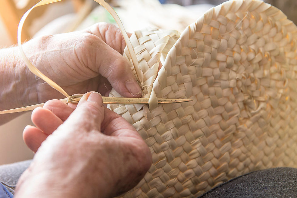 Preservando la artesanía del palmito en Mallorca