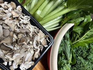 Unlocking the Power of Oyster Mushrooms