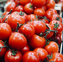 Organic Tomatoes