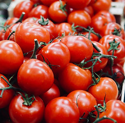 Organic Tomatoes