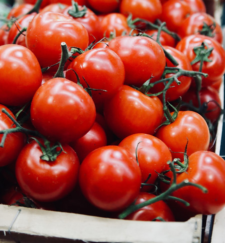 Organic Tomatoes