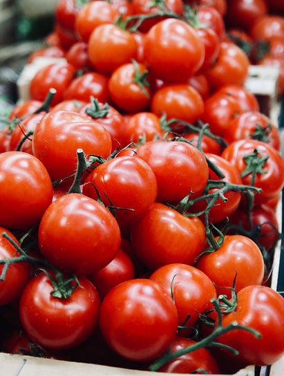 Organic Tomatoes