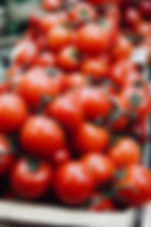 tomates organiques