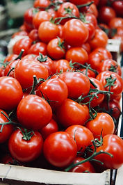 Organic Tomatoes