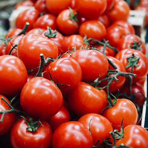 Organic Tomatoes