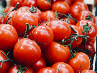 Gaspacho de tomates et burrata