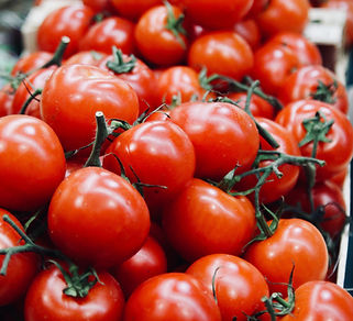 Organic Tomatoes