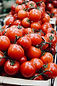 Organic Tomatoes