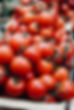 Organic Tomatoes
