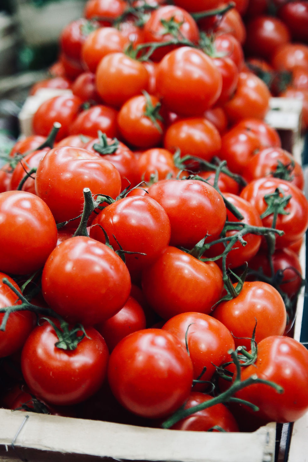 Fresh Red Tomatoes