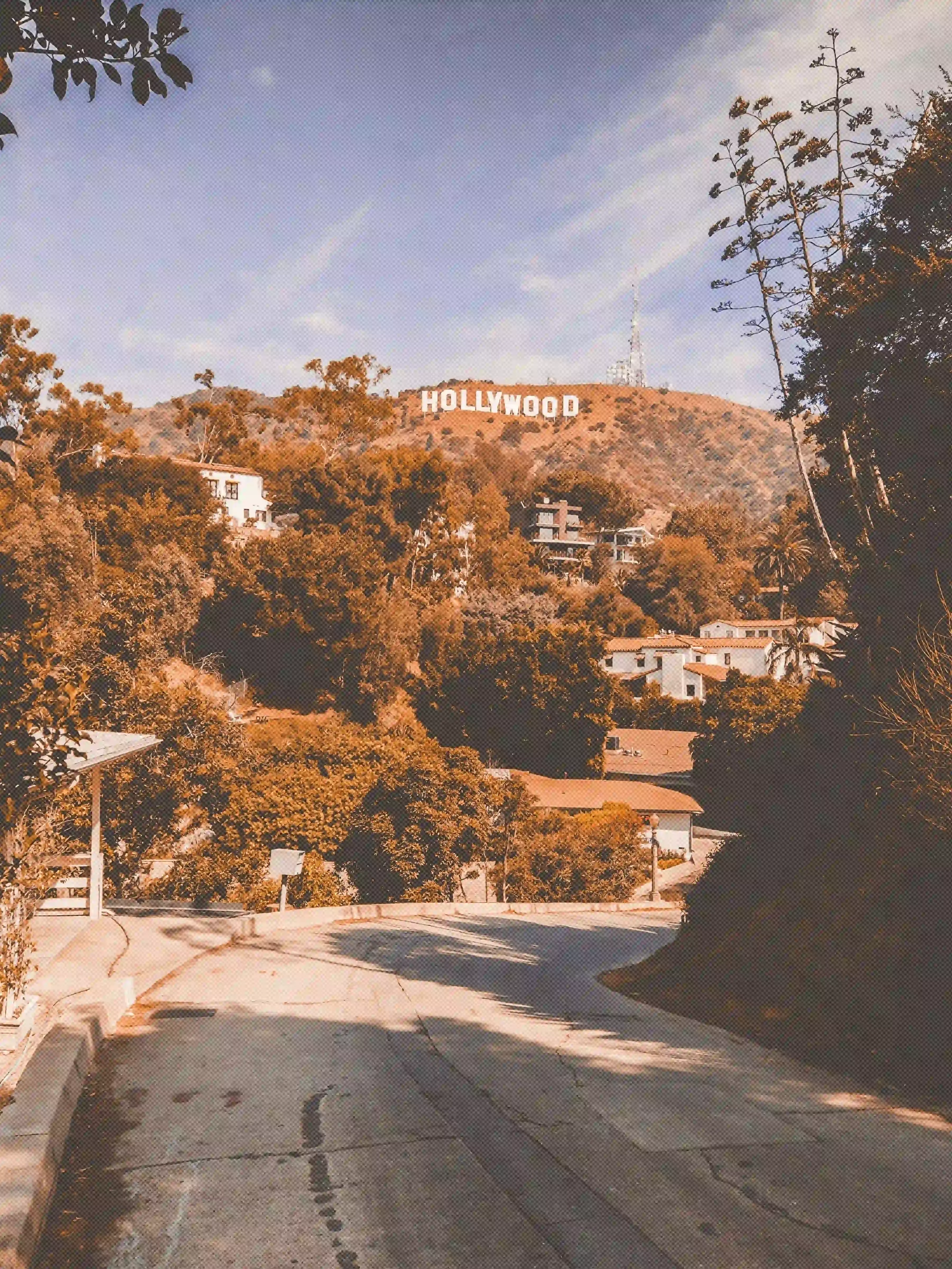 Hollywood Hills Drive